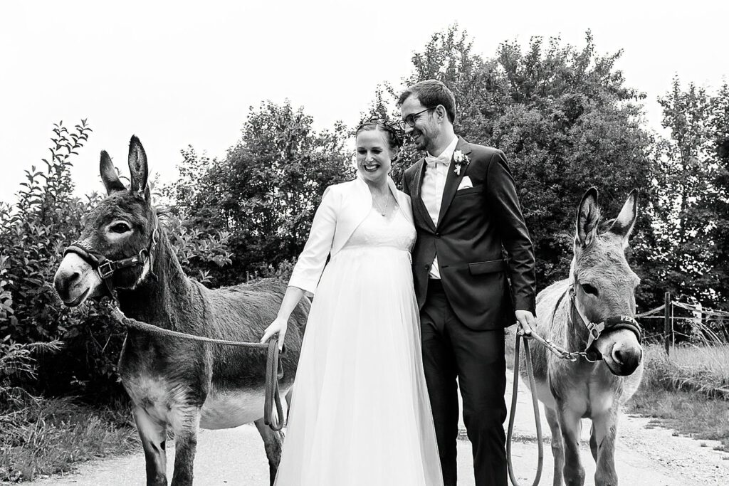 Hochzeitsfotograf Alte Gaertnerei Boho Vintage Hochzeit Muenchen Ueberraschung Esel Paarfotoshooting